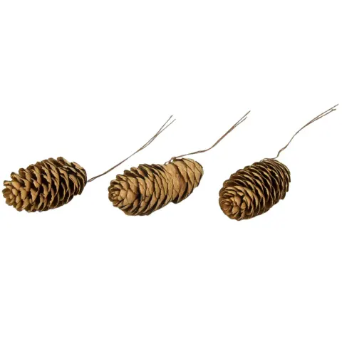 [59xg1201] Szyszki dekoracyjne naturalne na druciku 7-10cm 12szt