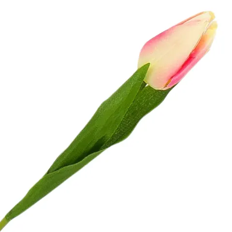 [w04040] Tulipan na gałązce 50cm kremowo-cukierkowy