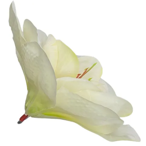 [w04143] Główka kwiatowa clivia 15-16cm pastelowożółta