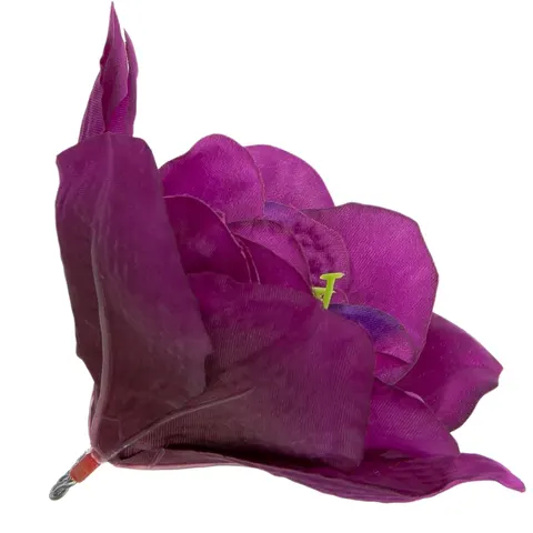 [w04148] Główka kwiatowa clivia 15-16cm biskupia
