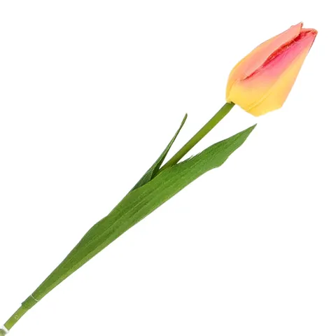 [w04153] Tulipan na gałązce 50cm żółto-karminowy