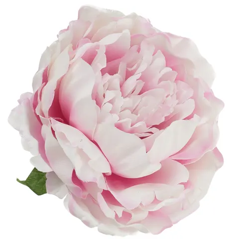 [w03014] Główka kwiatowa peonia duża 12cm kremowo-różowa