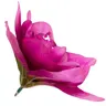 [w04259] Główka kwiatowa clivia 15-16cm magenta