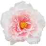[w15076] Główka kwiatowa peonia duża 15cm pudroworóżowa