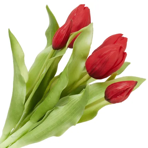 [68ga0101] Bukiet silikonowych tulipanów czerwony 31cm