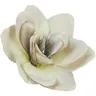 [68b8108] Główka kwiatowa clivia 16cm popielato-kremowa
