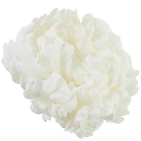 [68d0171] Chryzantema główka pełna 14cm biała