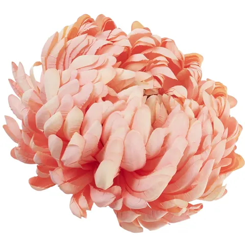 [68d0186] Chryzantema główka pełna 14cm różowo-kremowa