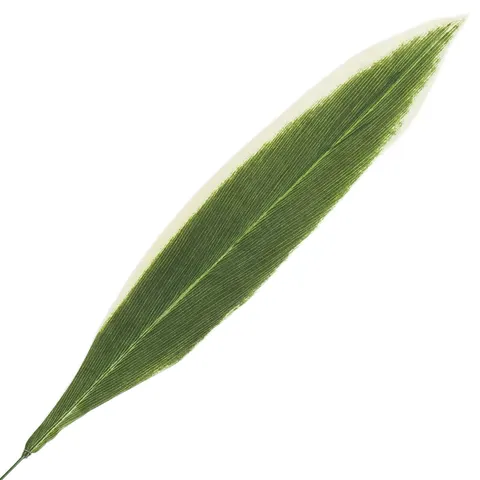 [68s32001] Liść draceny zielony z kremowobiałą końcówką 64cm