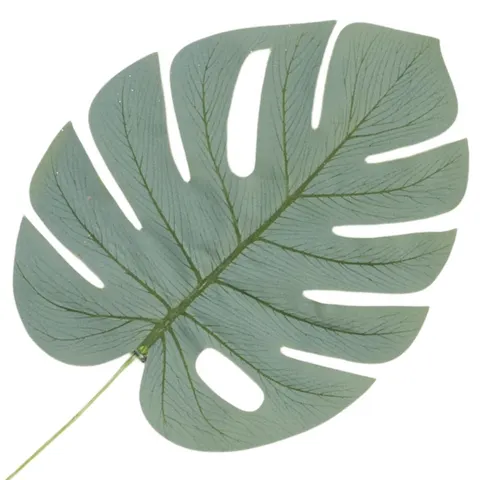 [68s75601] Liść dekoracyjny monstera zielony omszały 40cm