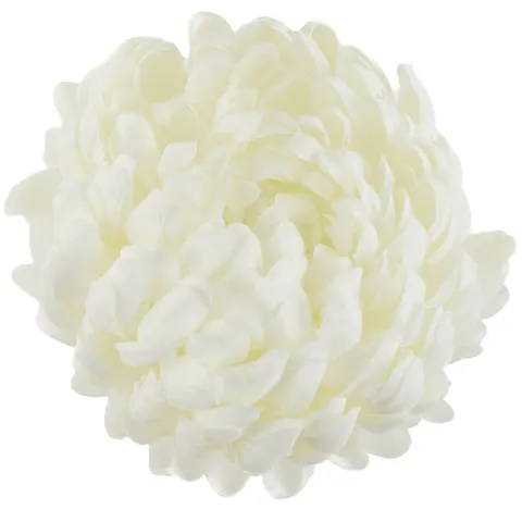 [68d02001] Chryzantema główka pełna 14cm kremowobiała