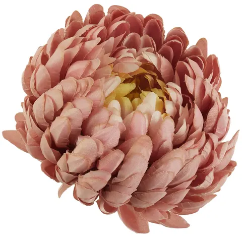 [68d02058] Chryzantema główka pełna 14cm beżoworóżowa