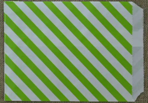 [73456] Torebka papierowa zebra biało-zielona 2szt