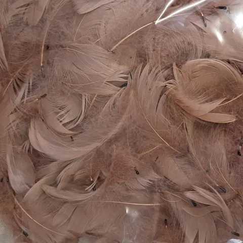 Piórka dekoracyjne naturalne cappuccino 190 sztuk