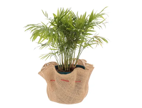 [74149] Osłonka jutowa ze sznurkiem na doniczkę 50cm