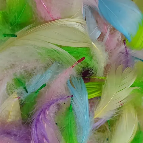 Piórka dekoracyjne naturalne mix pastelowy 190 sztuk