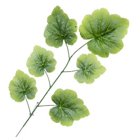 [680415] Gałązka zielona omszała geranium 60cm