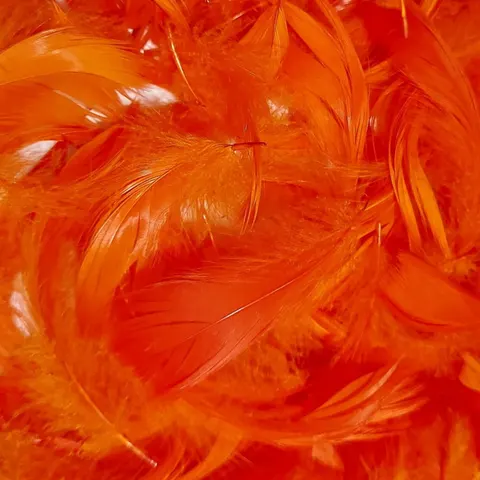 Piórka dekoracyjne naturalne orange 190szt