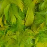 Piórka dekoracyjne naturalne pistacjowo-oliwkowe 190szt