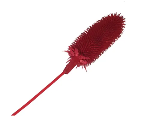 [59031] Susz naturalny oset czerwony 45cm 1szt