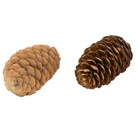 [59052] Szyszki dekoracyjne naturalne 7cm 12szt
