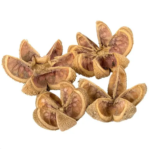 [59060] Kartush kwiatki naturalne suszone 4szt