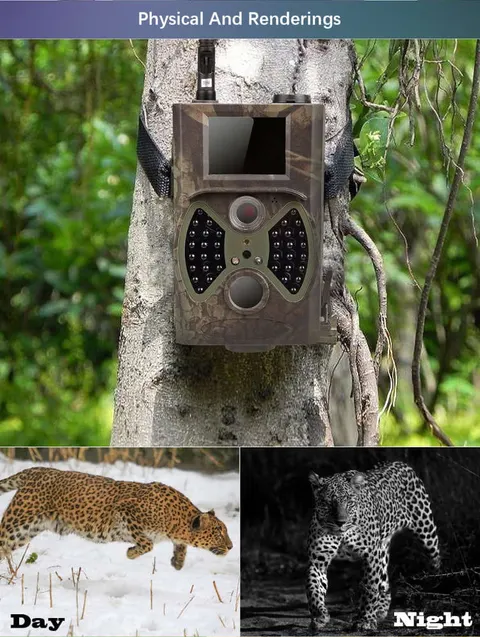 Kamera leśna GSM fotopułapka HC-300M