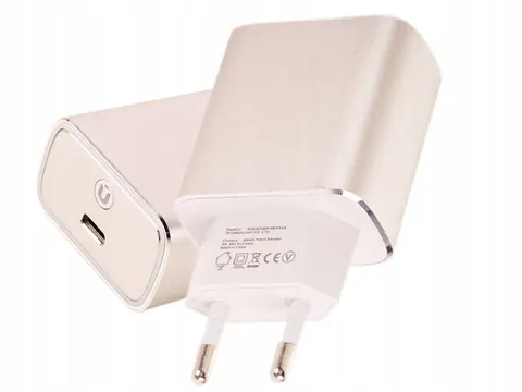 Oryginalna ładowarka sieciowa 18W 3A USB-C GOOGLE CA-29
