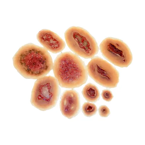 Zestaw samoprzylepnych ran (Techline – Self-Adhesive Wound Kit)