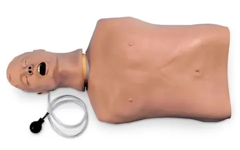 Tors trenażera zarządzania drogami oddechowymi „Airway Larry”