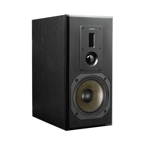 Dynavoice definition dm-6ii