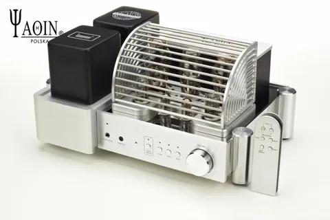 Yaqin ms-300c