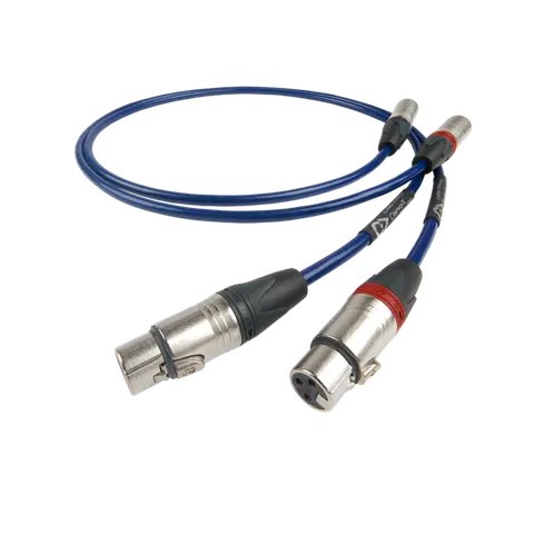 Chord clearway xlr zbalansowany