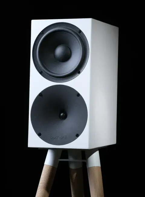Buchardt audio p300