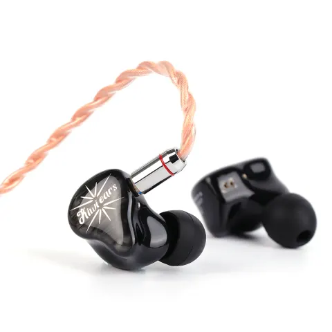 Kiwi ears orchestra