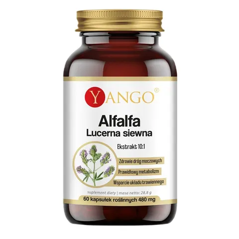 YANGO Alfalfa Lucerna siewna ( 60 kap)