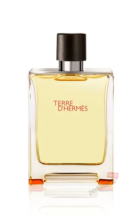 Hermes Terre D'Hermes Woda Toaletowa 100ml