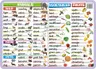 Numbers, time, calendar, vegetables, fruits - podkładka edukacyjna