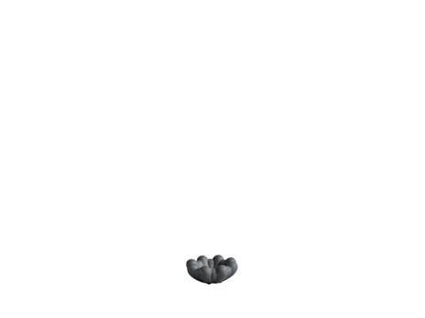 Bloom Tray, Mini - Dark Grey - taca