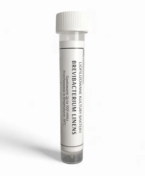 Bakterie maziowe Brevibacterium Linens