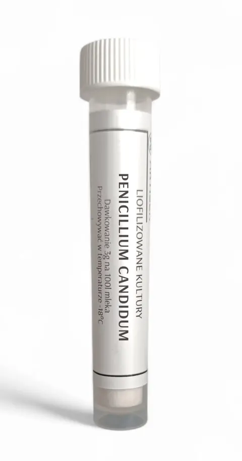 Penicillium Candidum