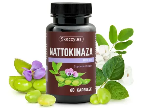 NATTOKINAZA 2000 FU