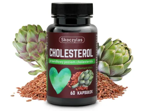 CHOLESTEROL monakolina K, polikosanol, chrom-60 kapsułek