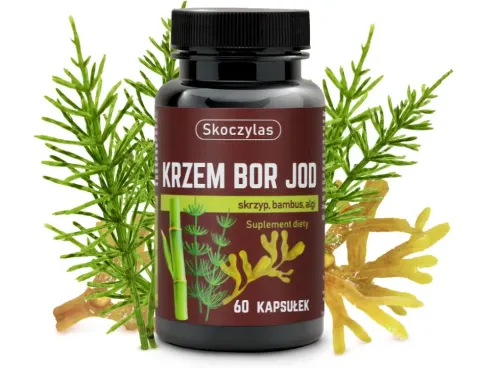 KRZEM BOR JOD skrzyp, bambus, algi