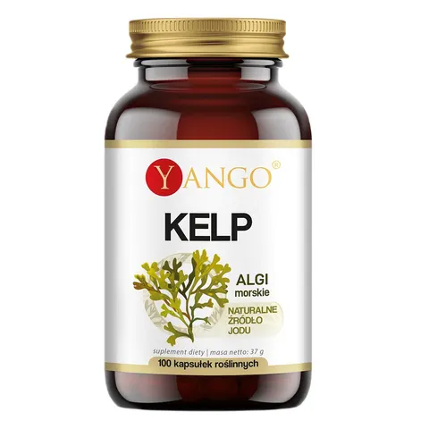 YANGO KELP ( 100 kap)