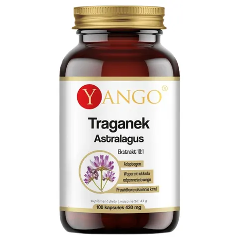 YANGO Traganek - ekstrakt 10:1 Astragalus (100 kap)