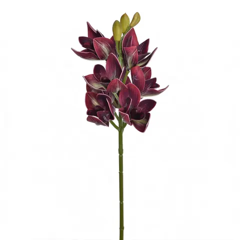 Storczyk gałązka (LEV046) Burgundy Green
