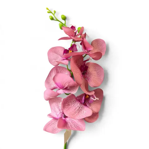 Orchidea silikonowana - white yellow center (AJ45998)