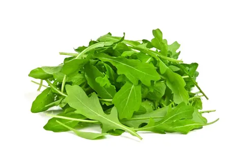 RUKOLA ŚWIEŻA NIEMYTA BIO (około 0,10 kg)