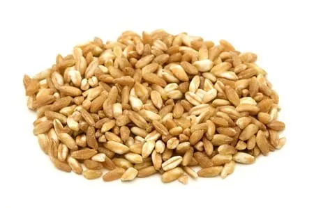 ORKISZ (ZIARNO) BIO (SUROWIEC) (25 kg) 8